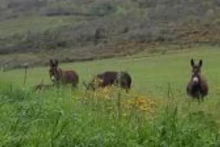 L'or Du Temps Ferienhaus *