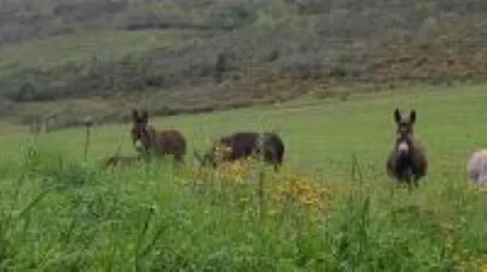 L'or Du Temps Feriehus *